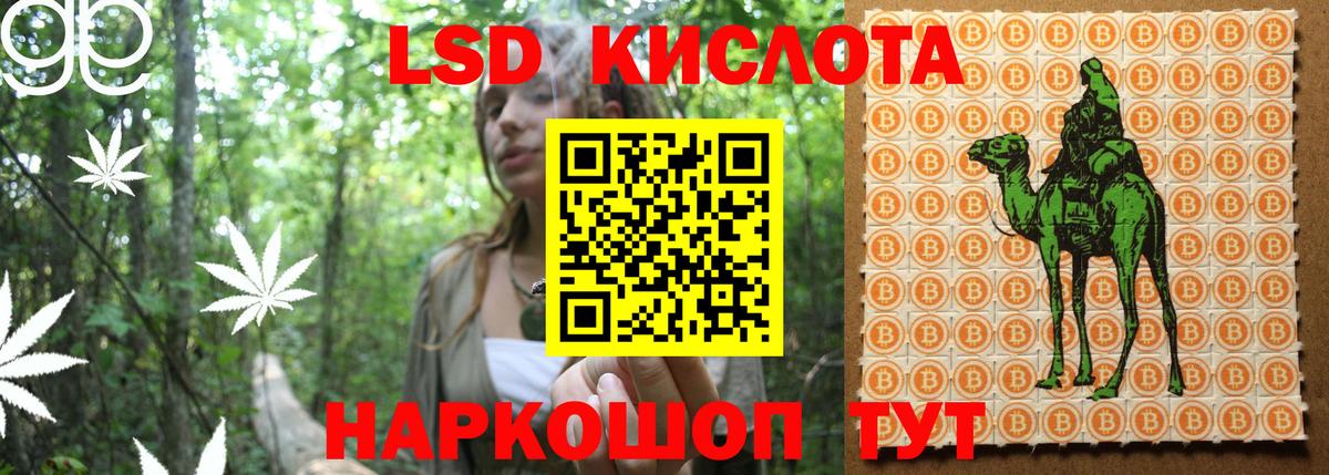 Скопин  Наркотические марки 1,5мг  Наркотические марки 1,5мг  Вход с VPN 