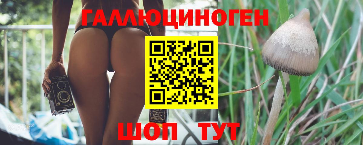 Галлюциногенные грибы прущие грибы  Галлюциногенные грибы прущие грибы  Вход с VPN  Скопин 